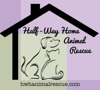animal rescue home